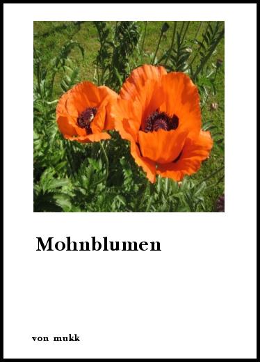 Gedicht mohn Todesfuge